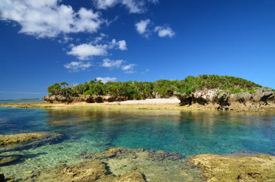 Scene with polarizing filter reducing reflections