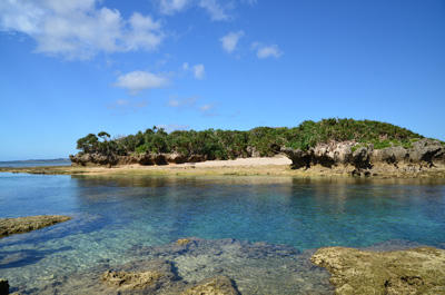 Scene without polarizing filter