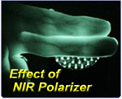Near-infrared polarizer film