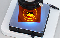 High contrast fluorescence observation with transmitted LED light