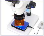 RT25 LED transmitted fluorescence excitation illuminator