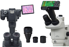 Microscope adapter for digital camera